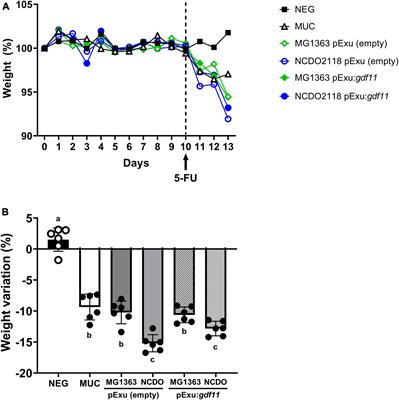 Growth differentiation factor 11 delivered by dairy Lactococcus lactis strains modulates inflammation and prevents mucosal damage in a mice model of intestinal mucositis